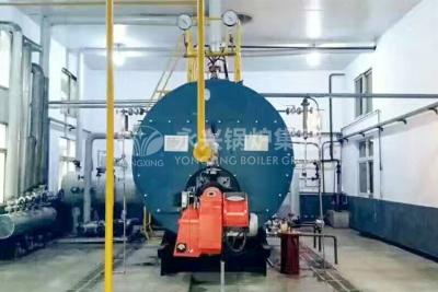 China Horizontale Condenserende de Boilerboiler Met gas van de Warm waterboiler Te koop