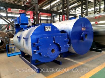 China Large Commercial Hot Water Boiler / High Efficiency Industrial Gas Hot Water Furnace for sale