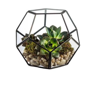 China Eco-friendly Shape Black Metal Mini House Glass Greenhouse With Lid Plant Pot Home Decor for sale