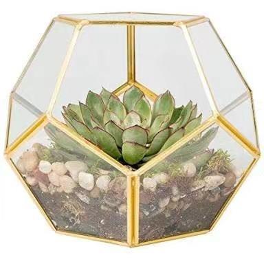 China Deco Eco-Friendly Large Glass Hexagonal Geometric Mini Greenhouse For Succulent for sale