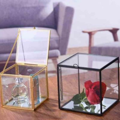 China Eco-friendly Large Cuboid Geometric Mini Glass Planter Greenhouse with Lid for Plant and Storage Box for sale