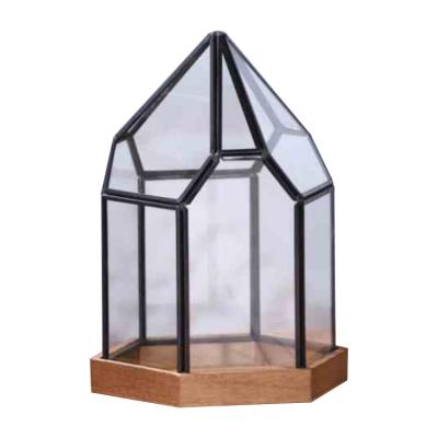 China Eco-friendly Mini-greenhouse Glass Micro Landscape Indoor Plant Glass Greenhouse for sale