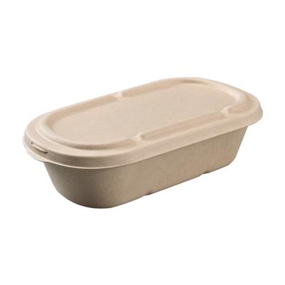 China Logo Disposable Biodegradable Bowl Food Pulp Thickening Customized Biodegradable Takeout Bowl With PET Lid/pulp for sale