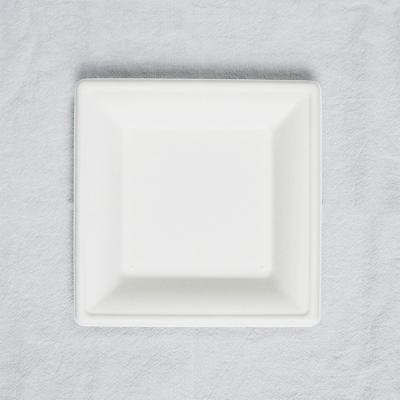 China Biodegradable Custom Sugar Cane Pulp Eco - Friendly Multi Sizes Degradable Plates for sale