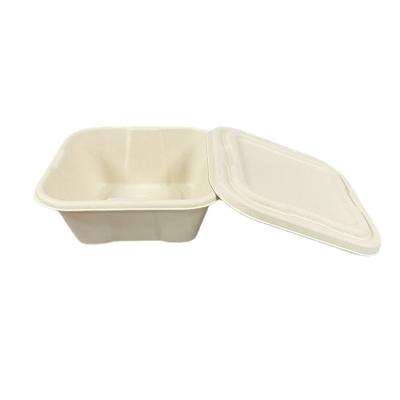 China Biodegradable custom disposable packaging food sugarcane pulp logo clamshell rectangle takeout box for sale