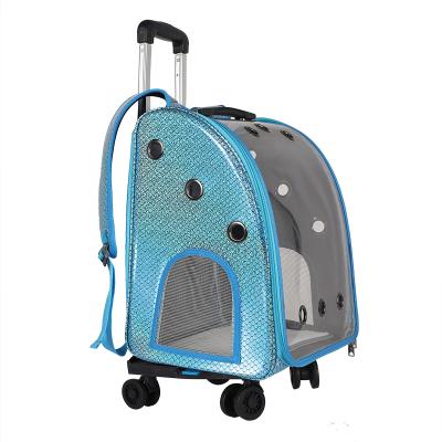 China Sustainable Cat Carrier Pet Travel Safe Pet Multifunction Easy To Carry Breathable Capsule For Cat for sale