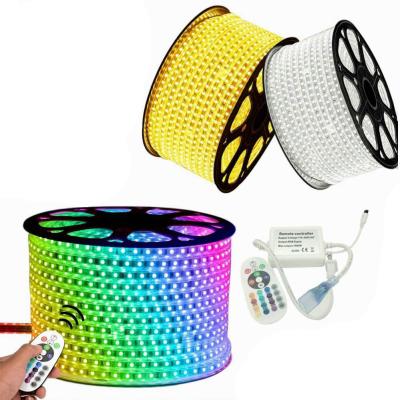 China Theme Park High Voltage Led RGB Strip Light With Remote for sale