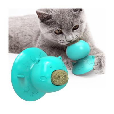 China Viable Wholesale High Quality Suction Cup Cat Mint Cat Toy Cat Toothbrush Tooth Grinding Lighter Sucker Toy for sale