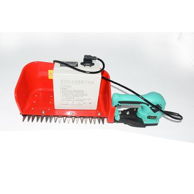 China MINI Top Fashion Riding Style Tea Picking Harvesting Garden Shears Tree Hedge Trimmer Machine for sale