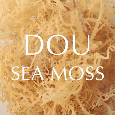 China Dry Sea Moss Non-GMO Organic Raw Sea Moss for sale