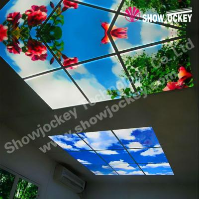 China Multicolor DMX512 RGB LED Panel DC24v dmx led dot matrix square / other shape customized for sale