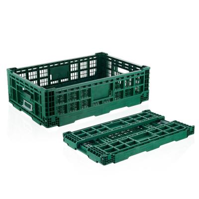 China Heavy Duty Solid Box Plastic Collapsing Vegetable Folding Crate for sale