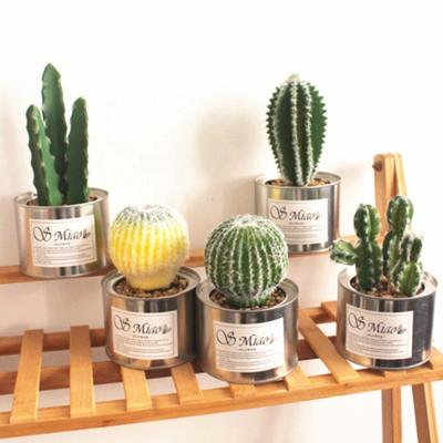 China Simple Popular Eco-friendly Europe Style Mini Potted Plants Artificial Fake Cactus And Succulent In Pots for sale