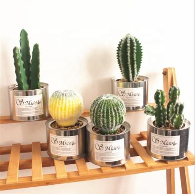 China Eco-friendly Wholesale Artificial Succulent Plants PVC Cactus Flower Ceramic Pots Decor for sale