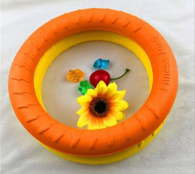 China Personalized Design Polyurethane Pet Flying Saucer For Interactive Play And Training for sale