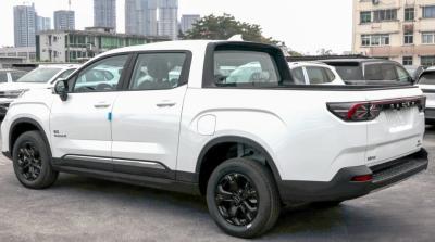 Cina 2023 NEW Model Electric Pickup Truck High Power Pickup Electric Cars RADAR RD6 in vendita