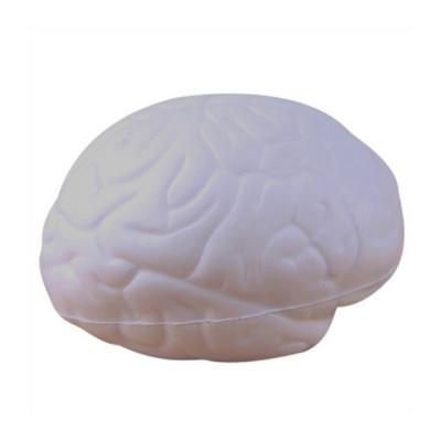 China Medical Toy Antistress Squishies Brain Model Toy Soft Foam Pu Foam Pack Soft Stress Balls for sale