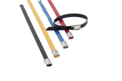 China 4.6*1000mm High Quality Heat Resistant 304 Stainless Steel Solar Cable Ties for sale