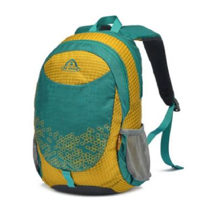 China Fashion Anti-theft Custom Printing High Quality School Backpacks , Teenager Children Kids School Bags for sale