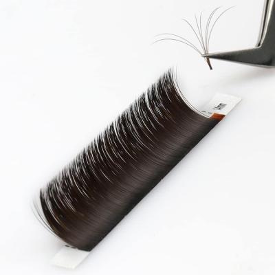 China Long Volume Eyelash Extensions Natural Quick Easy Fanning Suit For Suana for sale