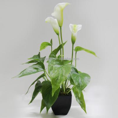 China Wholesale Small Plastic Potted Mini Bonsai Green Artificial Flower Calla Lilies Flowers For Home Decor for sale