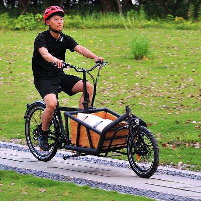 China Aluminum Alloy Electric Bike With Battery Pedal 2 Wheels For Carry Kids Passenger Cargo Bikes For Sale From China for sale