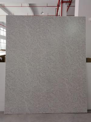 China PVC Wall Panels The Ultimate Combination of Durability and Decorative Options for sale