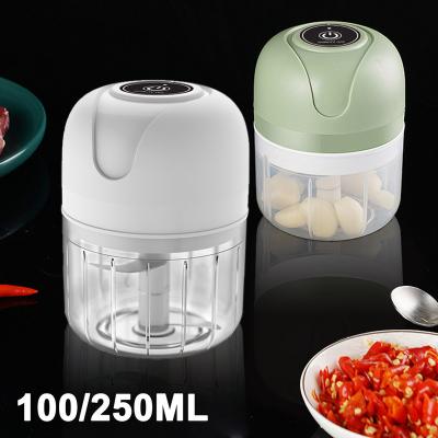 China 100/250ml Viable Creative Portable Electric Garlic Chopper Mini Grinder Masher Vegetable Chopper for sale