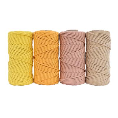 China Viable Macrame Rope 4mm Twisted Cotton Braid Rope Multi Size Length Color Cord 100 Per Meters for sale