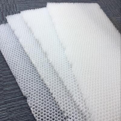 China Environmental Friendly Polypropylene Honeycomb Core Make Storage Tank In PP for sale