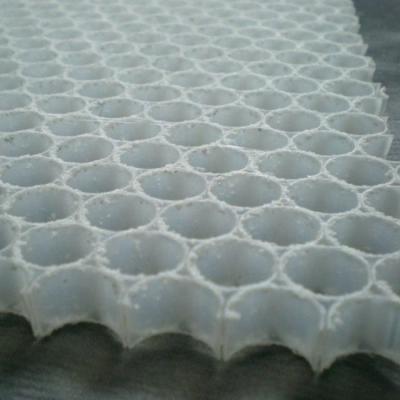 China Environmental Friendly PP Core Board Plastic Honeycomb Panel for sale