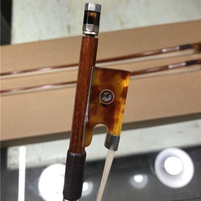 China Pernambuco Hawksbill Turtle Professional Violin Bow - 4/4 Violin Wood for sale