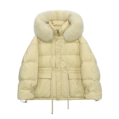 China Viable Wholesale Ladies Long Outdoor Hooded Winter Factory Down Warm Jacket for sale