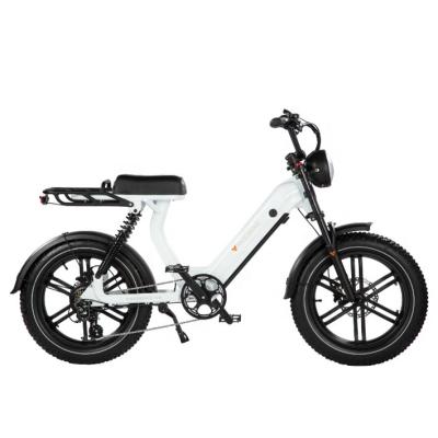 China Aluminum Alloy USA Warehouse Powerful 48V 750W Fat Tire Electric Bike for sale