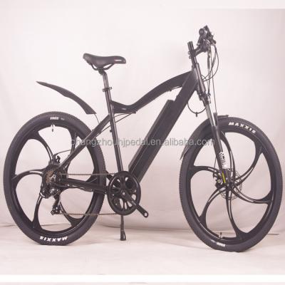 China Aluminum Alloy Magnesium Alloy Hub Motor Integrated Mountain E Bike (HJ-MTBI) for sale