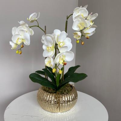 China New Singapore Artificial Touch Natual Orchid Western Flower Flowers Wedding Decorative for sale