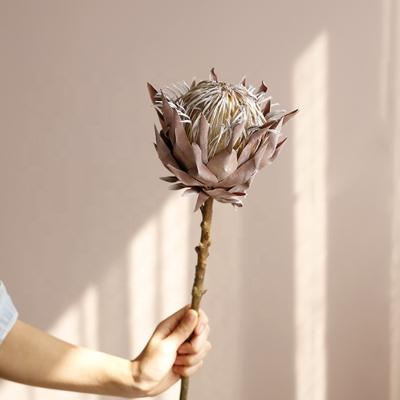 China Large Dried Stem Artificial Silk Flower King And Queen Protea Plant Wedding Single Single Flowers Real Touch for sale