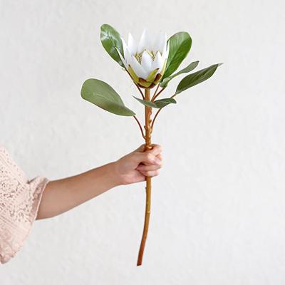 China Single Stem Flower Protea Cynaroides Floral Arrangements For Wedding Bouquet Decoration Real Touch King Size Protea Flower Artificial for sale