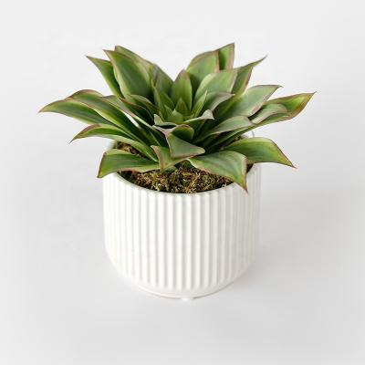 China Home Decoration/Hotel Decoration Simulation Succulent Bonsai With White Ceramic Flower Pot Fake Small Mini Potted Plastic Artificial Succulent Plant for sale