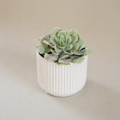 China Home Decoration/Hotel Decor Green Succulent in Ceramic Pot for Indoor Decorative Mini Pot Echeveria Artifical PVC Plastic Succulent Plants for sale