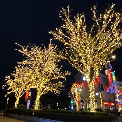 China LED Lights Hot Sale LED Decor Light Outdoor Waterproof PVC String Christmas Decoration Light for Holiday Wedding Xmas for sale