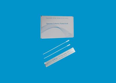 중국 Dna 견본 불모 집단 면봉 시험 스틱 비음과 인두 면봉을 옮기세요 판매용
