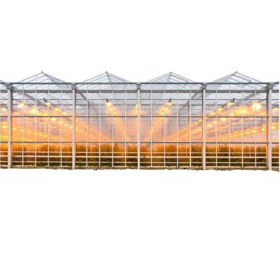 China Vegetable Commercial Single Span Plant Supplier Vegetable Fruit Film Blackout Greenhouse For Sale for sale