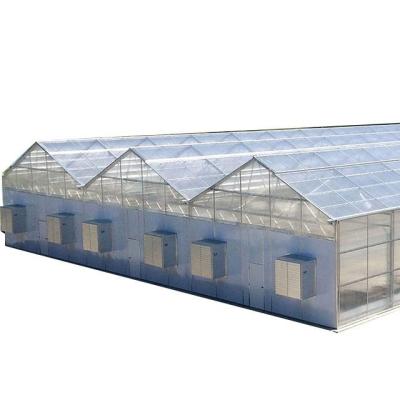 China Fruit Vegetable Flowers Solar Panel Smart Greenhouse For Fruit Agriculture Greenhouse Vegetable And Light Deprivation Blackout Greenhouse for sale