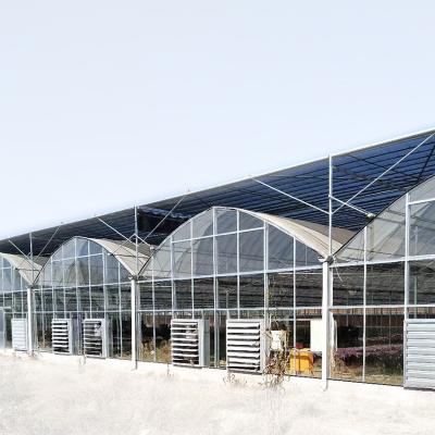 China Large Polycarbonate Sheet High Strength Commercial Agricultural Greenhouses for sale