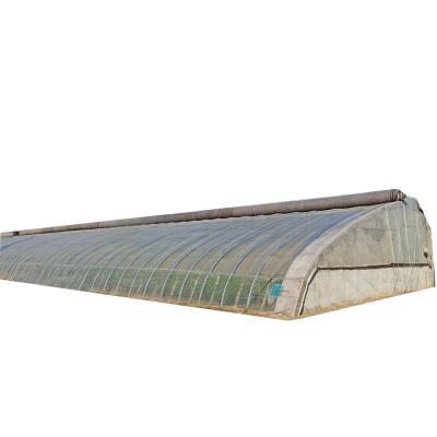 China Fruits Vegetable Flowers Easily Assembled Elliptical Tube Structured Solar Greenhouse With Space Wall For Seed Growing Vegetable Strawberry for sale