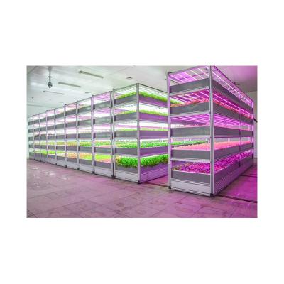 China High Strength Wholesale Price Customized High Strength Marine Vegetable Cultivation Box for sale