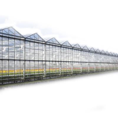 China Ariel Flowers Fruits Fruits Multi Size Vegetable Custom Span Hydroponic Glass Greenhouse Systems For Sale for sale