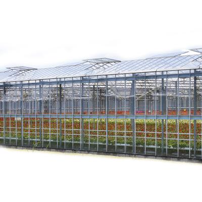 China Ariel Plant Custom Size Prefab Flowers Fruit Sale The Cheapest Glass Greenhouse for sale