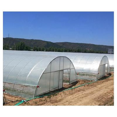 China high quality fruit vegetable flower tunnel greenhouse used greenhouses craigslist for growing tomatoes for sale